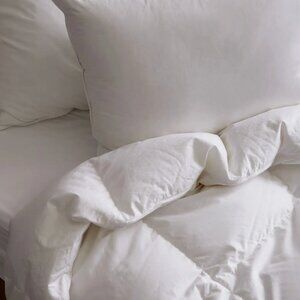 Premium Down Comforter - All Season  - White - Quince